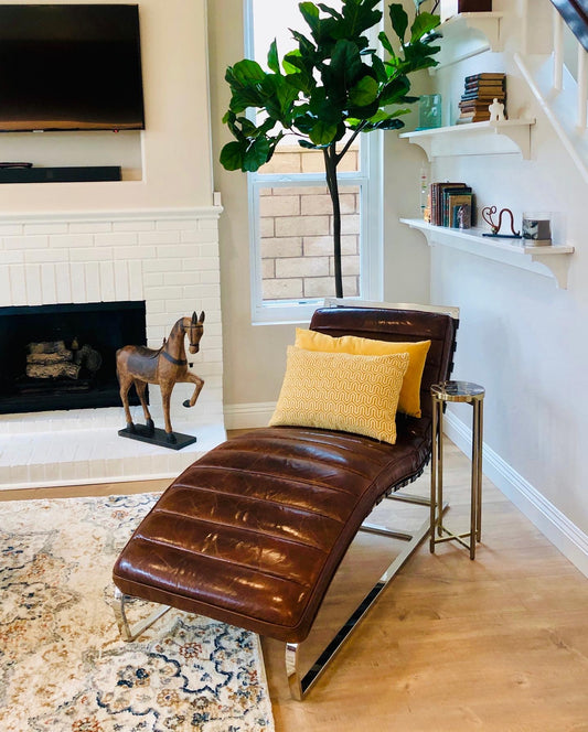 Freud lounge