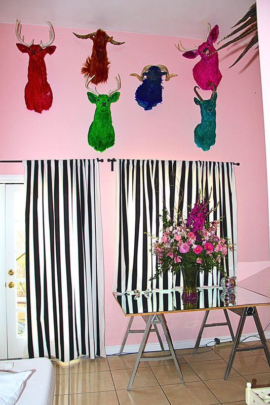Hand dyed Taxidermy